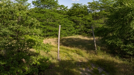 For Sale 267 Acres With Over 1 Mile Hwy 69/75 Rd Frontage - image 23