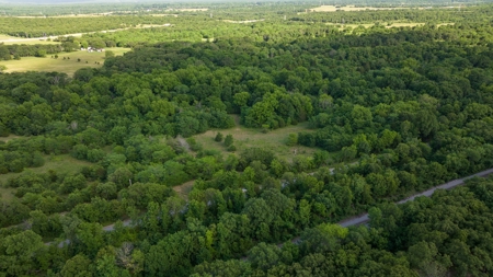 For Sale 267 Acres With Over 1 Mile Hwy 69/75 Rd Frontage - image 19