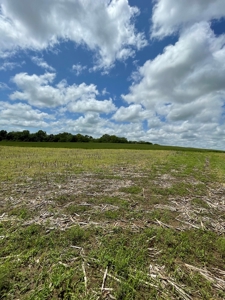 Andrew County Land Auction 160+/- Acres - image 17