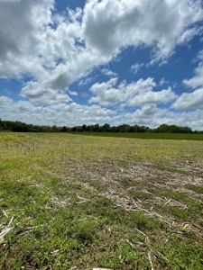 Andrew County Land Auction 160+/- Acres - image 16