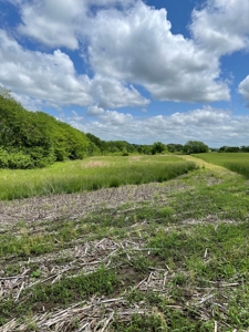 Andrew County Land Auction 160+/- Acres - image 29