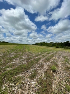 Andrew County Land Auction 160+/- Acres - image 18