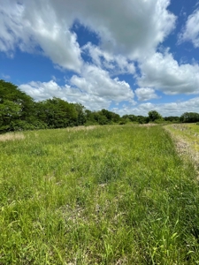 Andrew County Land Auction 160+/- Acres - image 27