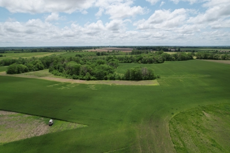 Andrew County Land Auction 160+/- Acres - image 14