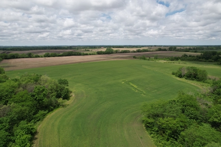 Andrew County Land Auction 160+/- Acres - image 8