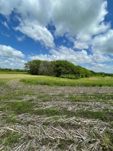 Andrew County Land Auction 160+/- Acres - image 31