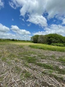 Andrew County Land Auction 160+/- Acres - image 30
