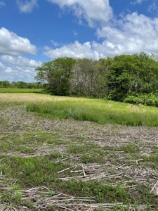 Andrew County Land Auction 160+/- Acres - image 28
