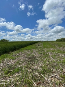 Andrew County Land Auction 160+/- Acres - image 32