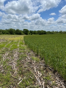 Andrew County Land Auction 160+/- Acres - image 19
