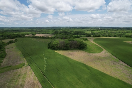 Andrew County Land Auction 160+/- Acres - image 12