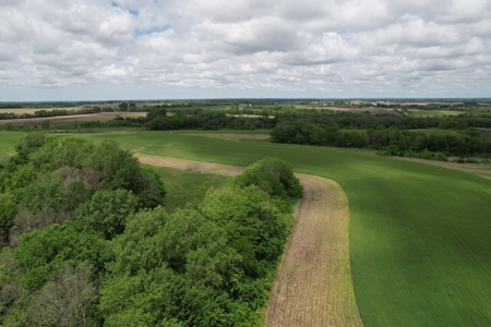Andrew County Land Auction 160+/- Acres - image 7
