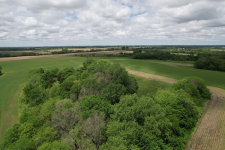 Andrew County Land Auction 160+/- Acres - image 6