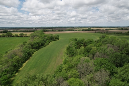 Andrew County Land Auction 160+/- Acres - image 4