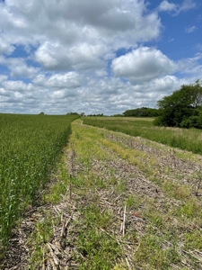Andrew County Land Auction 160+/- Acres - image 22