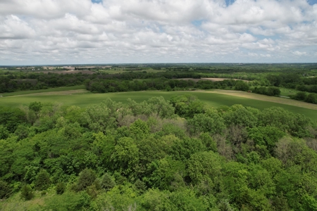 Andrew County Land Auction 160+/- Acres - image 11