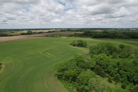 Andrew County Land Auction 160+/- Acres - image 9
