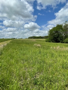 Andrew County Land Auction 160+/- Acres - image 26