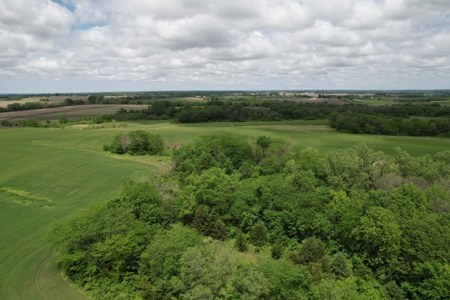 Andrew County Land Auction 160+/- Acres - image 10