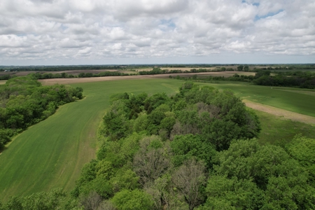 Andrew County Land Auction 160+/- Acres - image 5