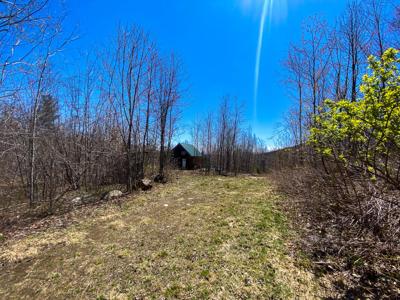 Rustic off-grid cabin - image 16