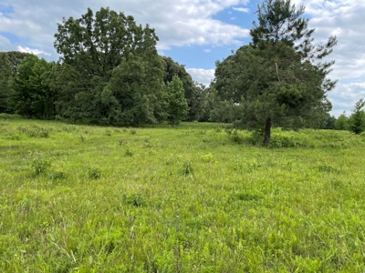 Land For Sale in McCurtain County, Southeast OK Ranch - image 20