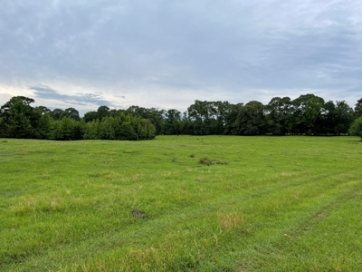 Land For Sale in McCurtain County, Southeast OK Ranch - image 2