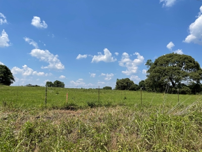Land For Sale in McCurtain County, Southeast OK Ranch - image 25