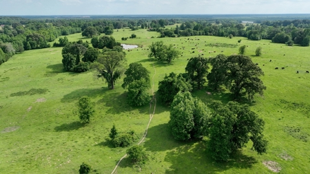 Land For Sale in McCurtain County, Southeast OK Ranch - image 47