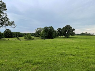 Land For Sale in McCurtain County, Southeast OK Ranch - image 3