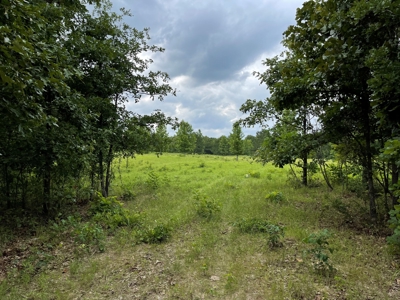 Land For Sale in McCurtain County, Southeast OK Ranch - image 22