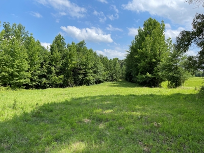 Land For Sale in McCurtain County, Southeast OK Ranch - image 10