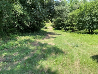 Land For Sale in McCurtain County, Southeast OK Ranch - image 27