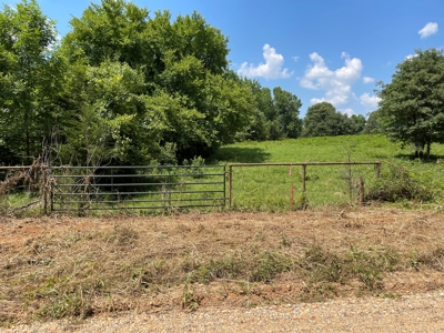 Land For Sale in McCurtain County, Southeast OK Ranch - image 24