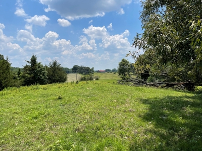 Land For Sale in McCurtain County, Southeast OK Ranch - image 32