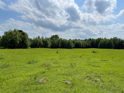Land For Sale in McCurtain County, Southeast OK Ranch - image 16