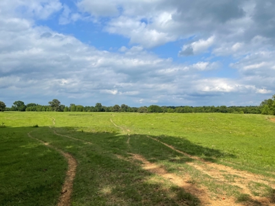 Land For Sale in McCurtain County, Southeast OK Ranch - image 18