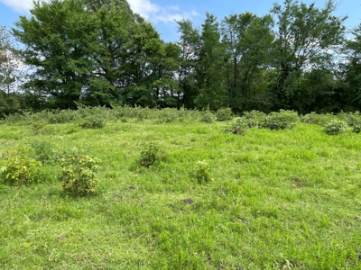 Land For Sale in McCurtain County, Southeast OK Ranch - image 13