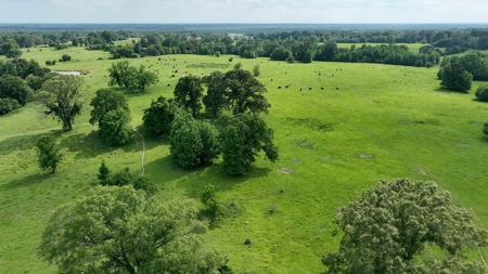 Land For Sale in McCurtain County, Southeast OK Ranch - image 46