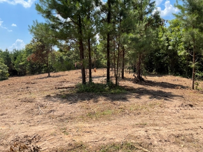 Land For Sale in McCurtain County, Southeast OK Ranch - image 26