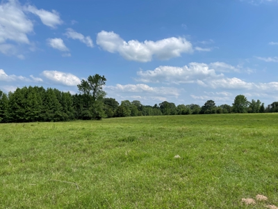 Land For Sale in McCurtain County, Southeast OK Ranch - image 12