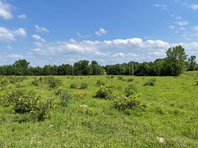 Land For Sale in McCurtain County, Southeast OK Ranch - image 15