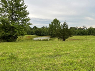 Land For Sale in McCurtain County, Southeast OK Ranch - image 5