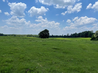 Land For Sale in McCurtain County, Southeast OK Ranch - image 35