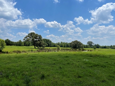 Land For Sale in McCurtain County, Southeast OK Ranch - image 33