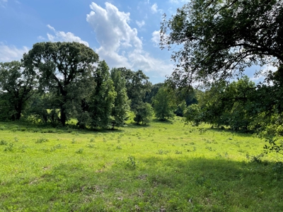 Land For Sale in McCurtain County, Southeast OK Ranch - image 14