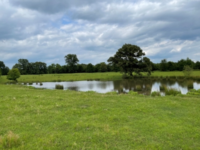 Land For Sale in McCurtain County, Southeast OK Ranch - image 21