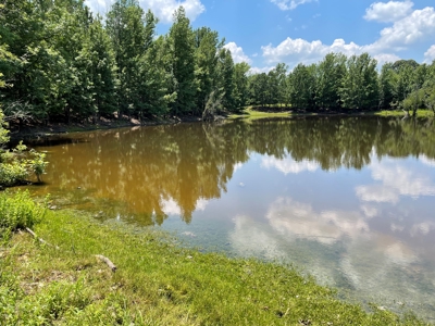 Land For Sale in McCurtain County, Southeast OK Ranch - image 34