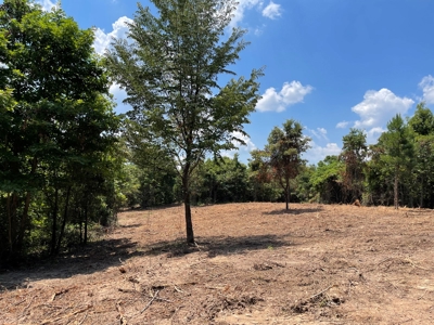 Land For Sale in McCurtain County, Southeast OK Ranch - image 29