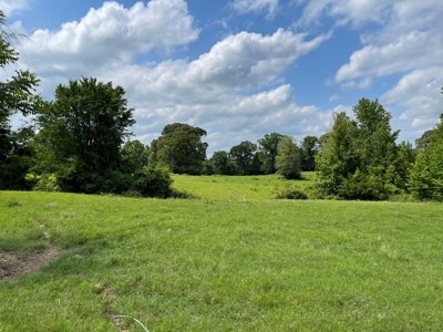 Land For Sale in McCurtain County, Southeast OK Ranch - image 11